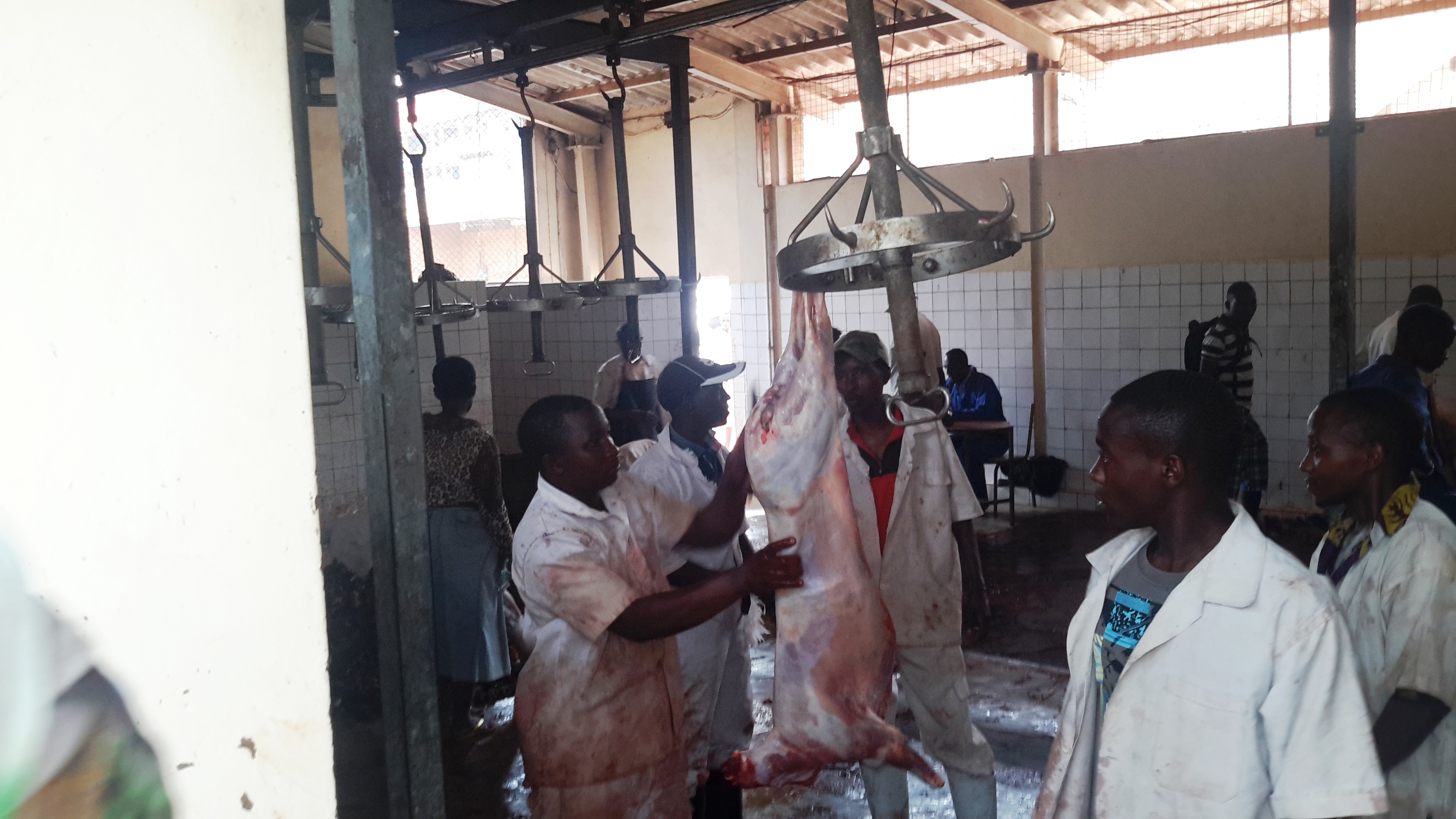 Inka zirenga igihumbi mu gihugu hose ngo zizabagwa mu rwego rwo kwizihiza umunsi w'Igitambo