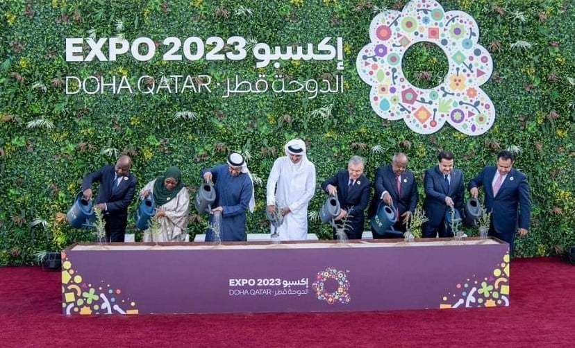 Bavomereye imbuto, indabo n