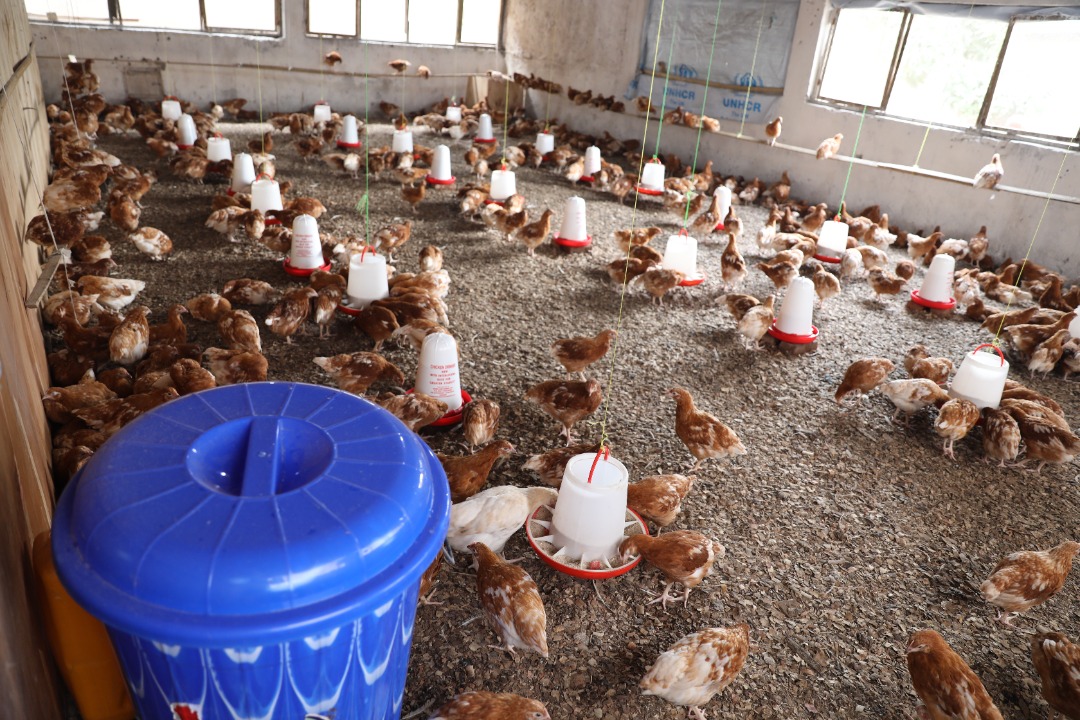 Hari abafashijwe korora inkoko, ngo byatumye bareka ubucoracora