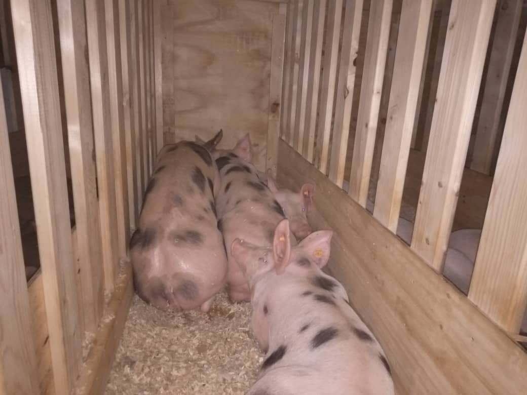 Izi zaturutse mu Bubiligi ku wa Kane w