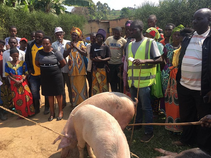 Abahawe amatungo bizeye kuva mu cyiciro cy'ubukene bukabije