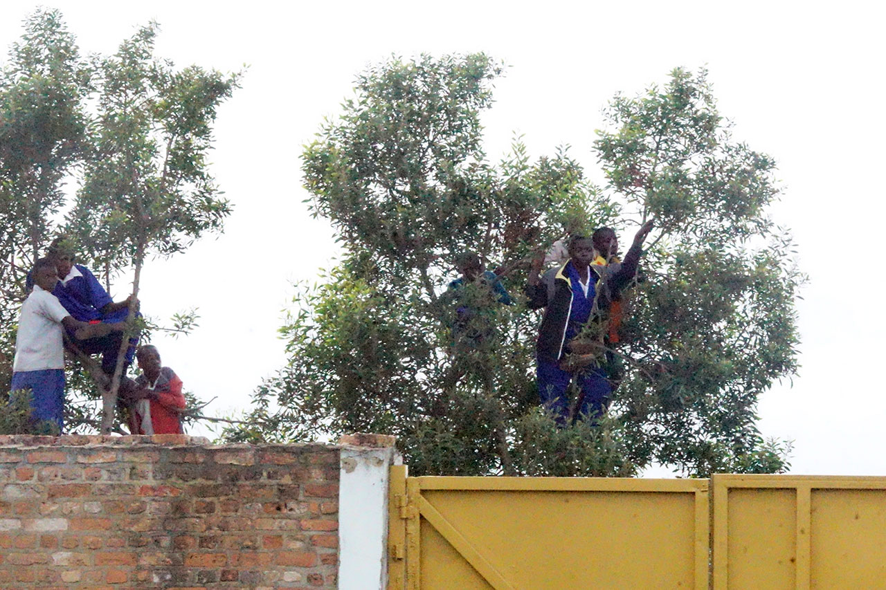 Baremeye burira ibiti ariko barawureba