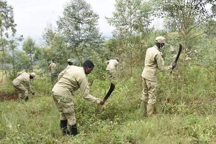 RCS nayo yifatanyije n'abaturage mu bikorwa by'umuganda