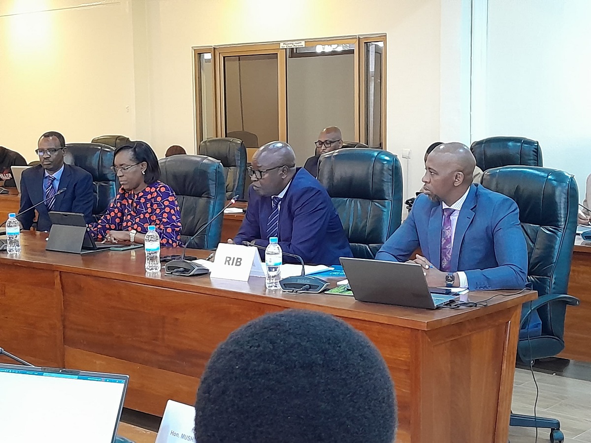 Ubwo RIB yaganiraga n'Abadepite