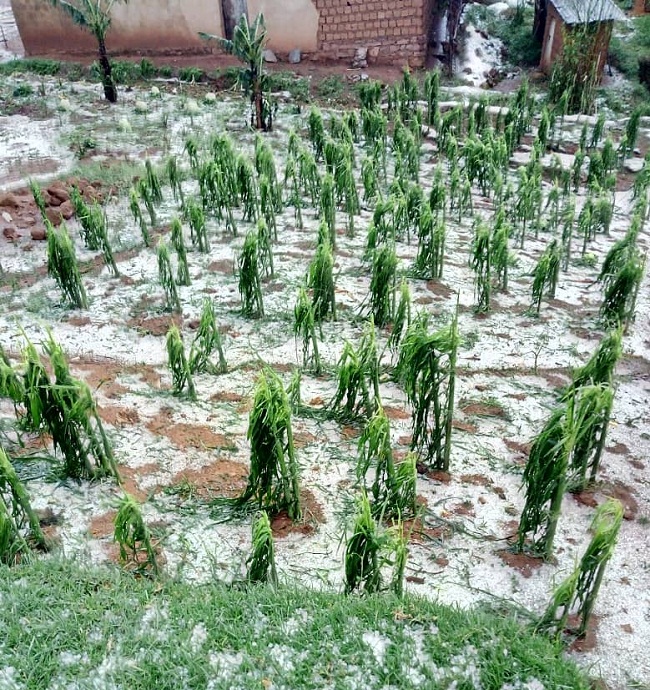 Aha ni mu Murenge wa Rongi