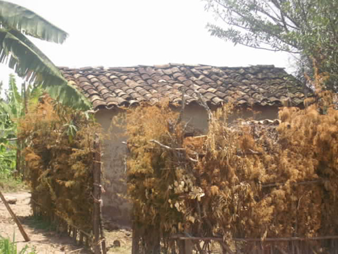 Urugo rwabereyemo ayo mahano