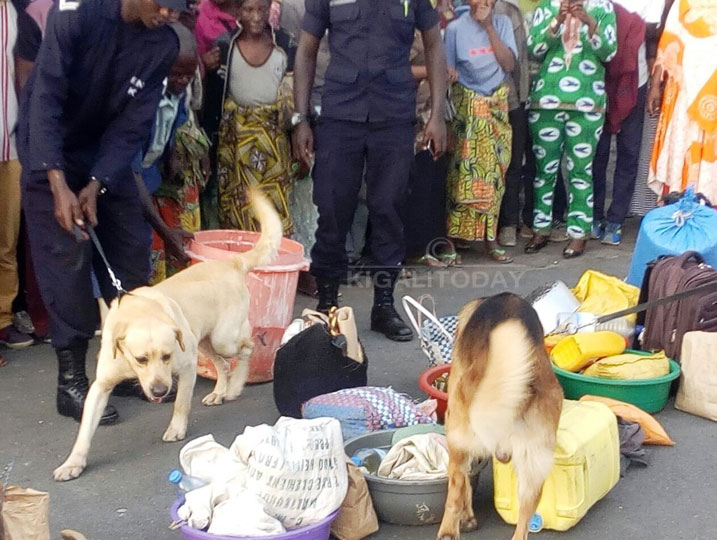 Imbwa zirihumuriza zikamenya ahari ibiyobyabwenge