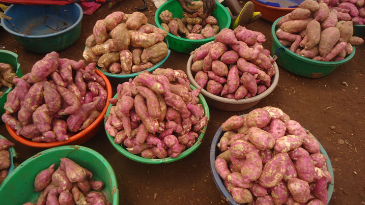 Abahinzi barasaba ubufasha mu guteza imbere ubuhinzi bw