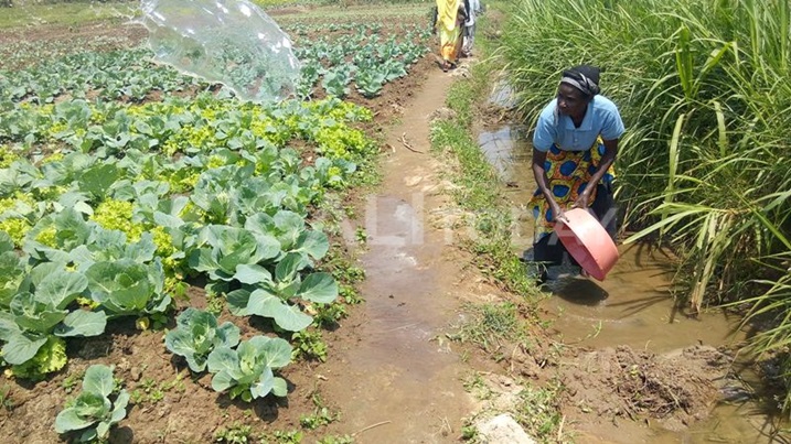 Rwabashyashya bifuza kuvomerera bakoresheje ikoranabuhanga rigezweho.