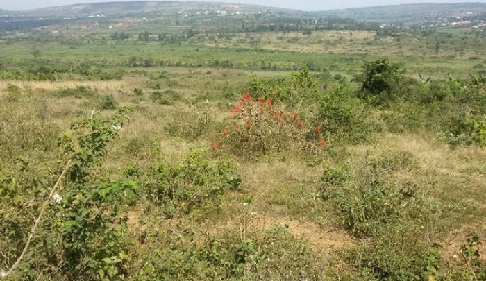 RRA yongereye igihe cyo kwishyura umusoro ku mutungo utimukanwa