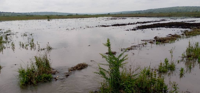 Hegitari 150 zitahingwaga zo muri Rwangingo zigiye kubonerwa umuti ubundi zibyazwe umusaruro