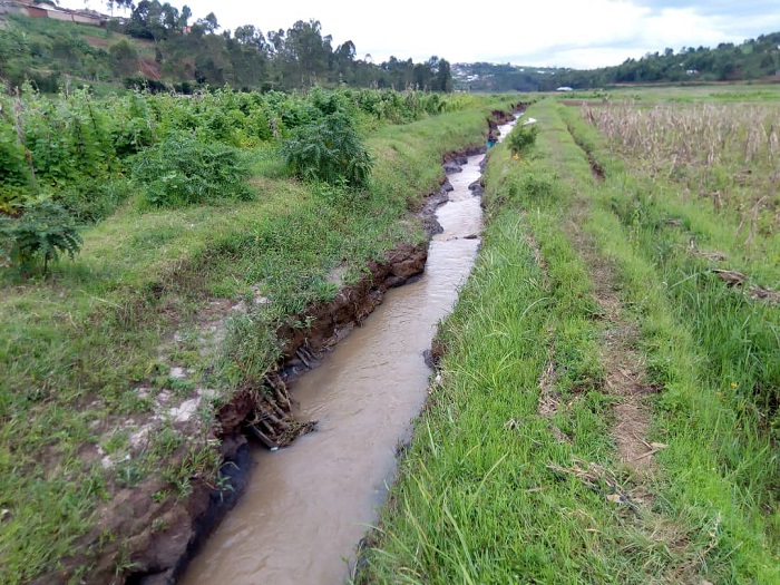 Amazi akusanyirizwa mu gishanga arenga uyu muyoboro agateza umwuzure