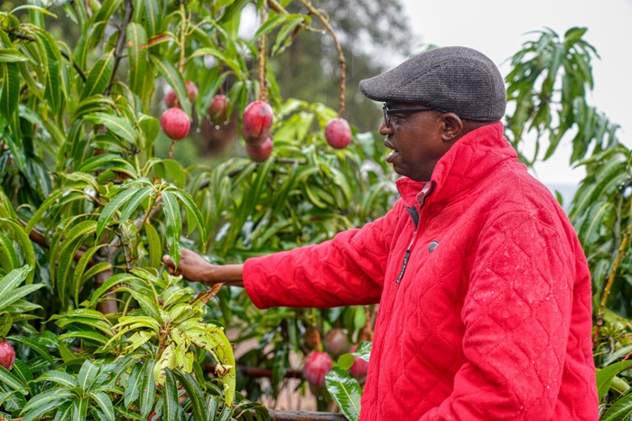 Sendarasi Prudence avuga ko gukoresha imitego ya Pheromones byamurinze ibyonnyi