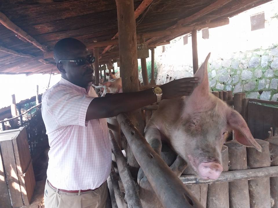 Shirimpumu umworozi w'ingurube