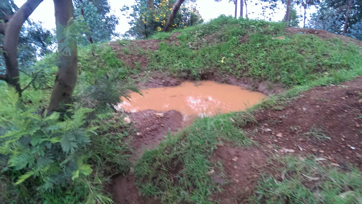 Muri iri shyamba shyamba ryo mu Murenge wa Byumba bacukuemo imiringoti yo gufata amazi biriinda isuri.