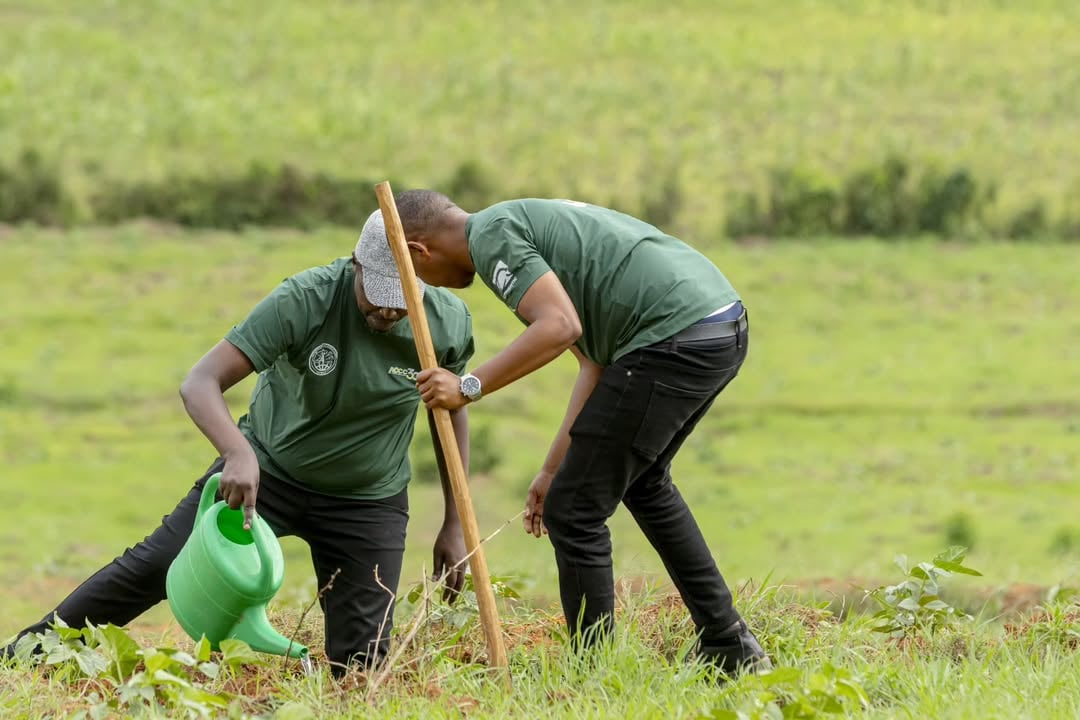 Abagize korali Ambassadors of Christ bateye ibiti bisaga 1,600 muri Gasabo
