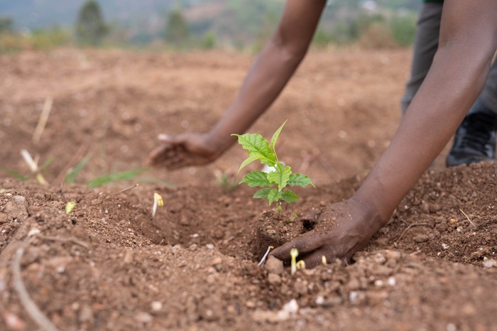 Tubura irishimira ko guhera mu 2016 bamaze gutera ibiti birenga Miliyoni 100