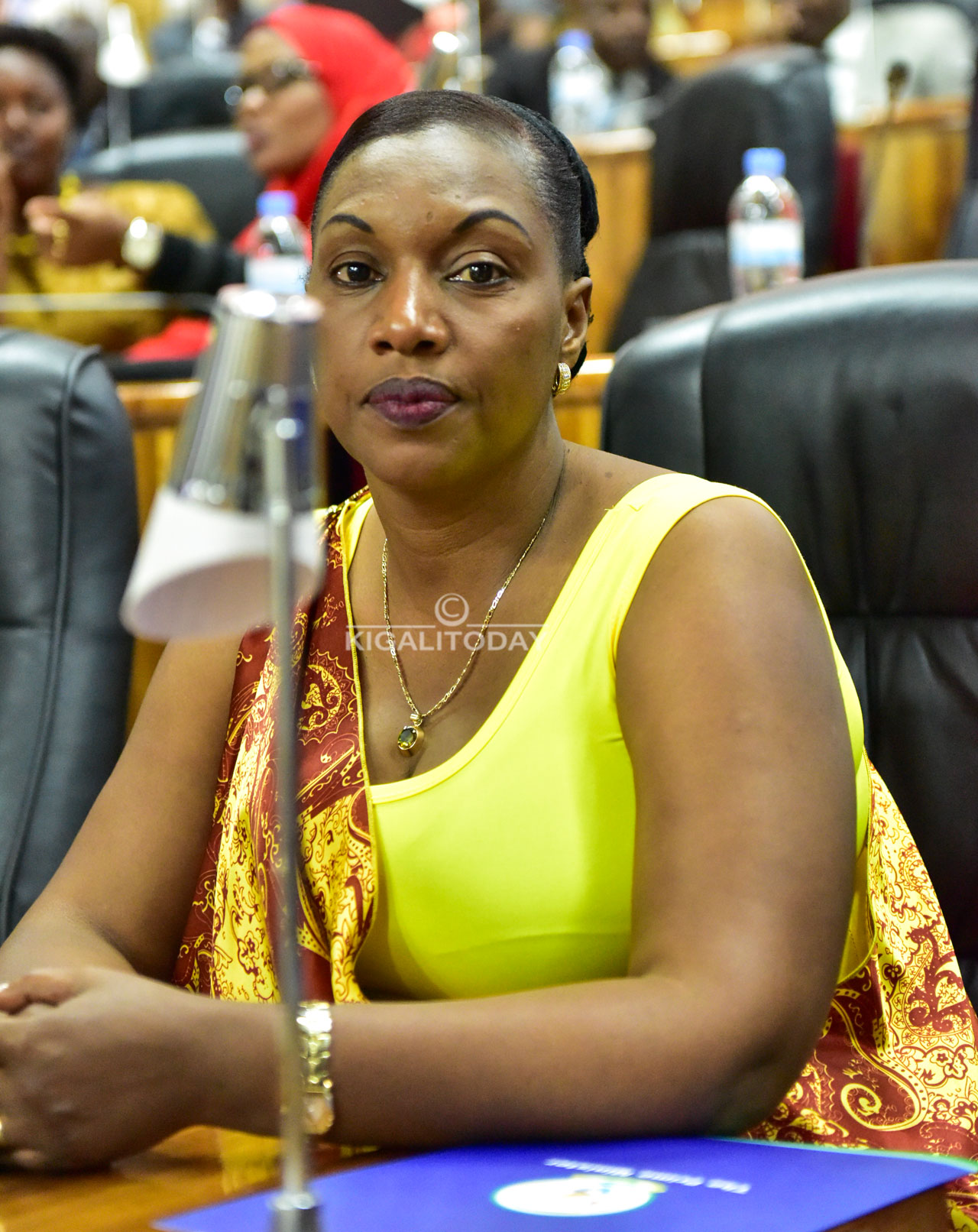 Tumushime Francine, Minisitiri w'Ubutaka n'Amashyamba