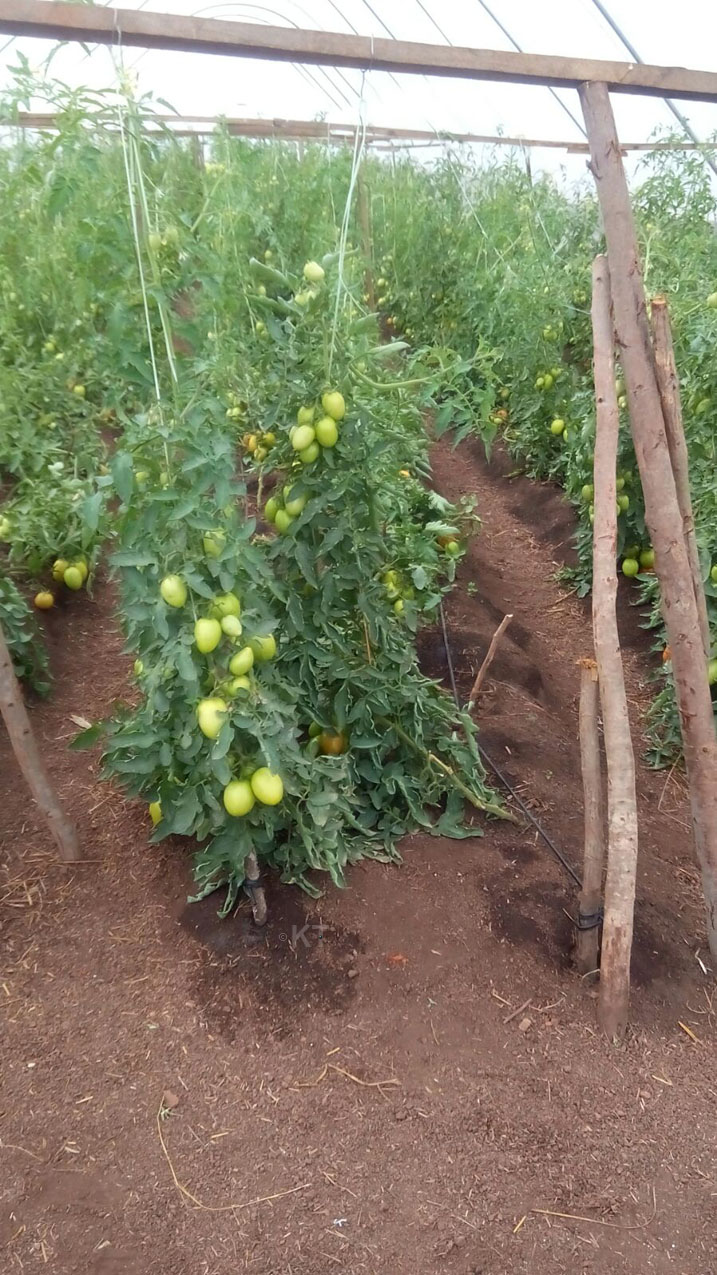 Bahinga hato hera byinshi 