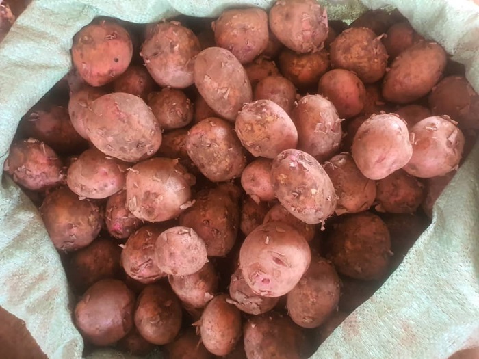 Ubu bwoko bw'ibirayi ikiro kiri kugura amafaranga 350