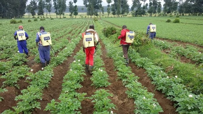 Uyu munsi ubuhinzi ni ishoramari nk'irindi ryose