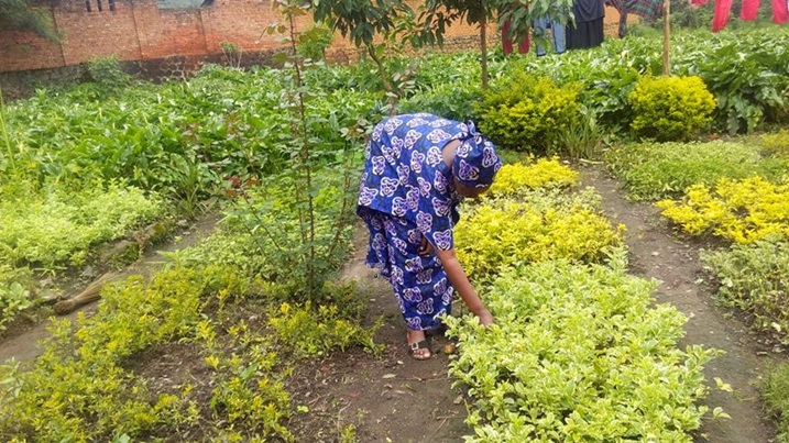 Ubuhinzi bw'indabo bumwinjiriza hagati y'ibihumbi 100Frw na 200Frw mu kwezi.