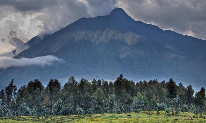 Ubuso bungana na 23% nibwo buzongerwa ku buso busanzwe bwa Pariki