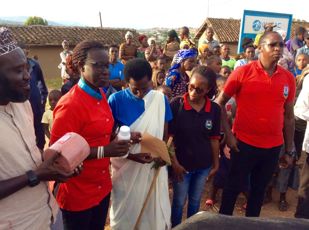 Banahawe uburyo bwo kubona ubwatsi bw'inka