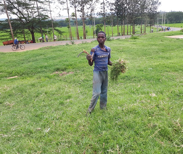 Mu minsi itari iy'amasomo abana bakora akazi ko kwahira bakagurisha ubwatsi