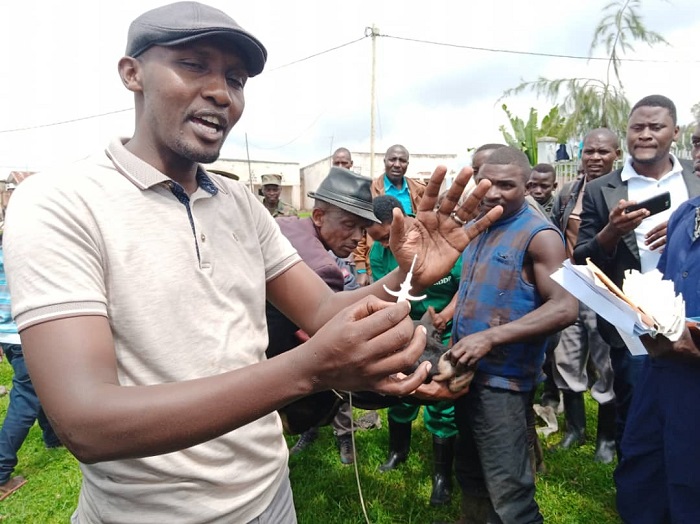 Akuma gashyirwa ku nka kagatanga amakuru