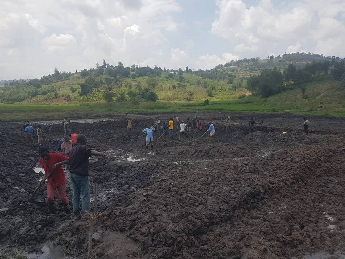 Bakora n'imishinga y'ubworozi bw'amafi aha bari gucukura icyuzi
