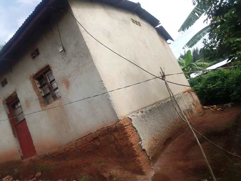 Hari abagerageza kuzikura hasi bifashishije uduti