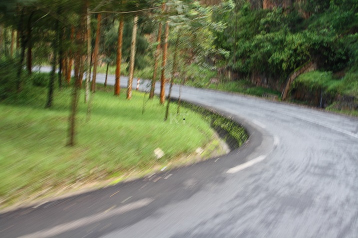 Ugizwe n'amakorosi menshi.