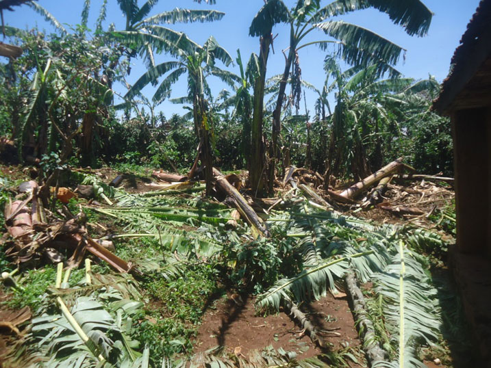 Imvura yangije imyaka y