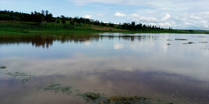 Umuceri warengewe n'amazi