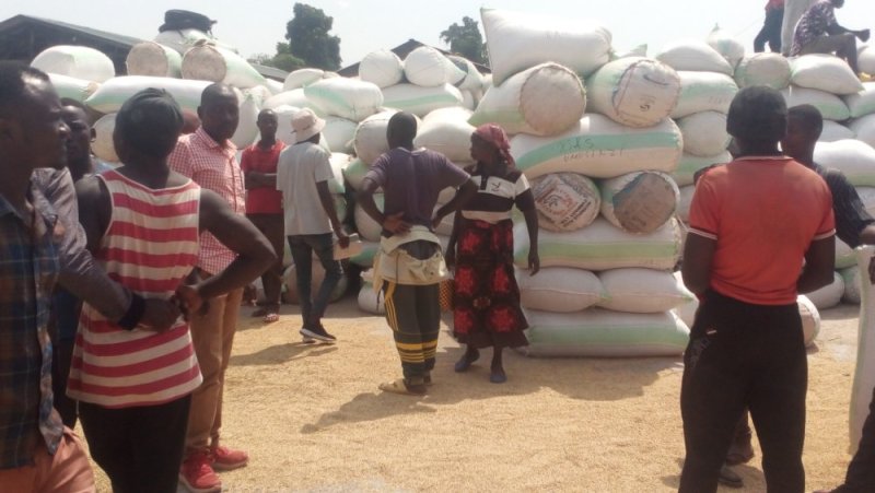 Abahinzi b'umuceri mu Karere ka Rusizi bavuga ko bari mu gihombo cy'umuceri ugera muri toni ibihumbi bitanu weze ariko ukabura isoko