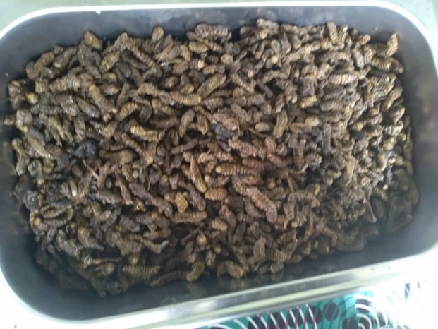 Ibinyabwoya ni amagunguro ahenze mu gihugu cya Zambia