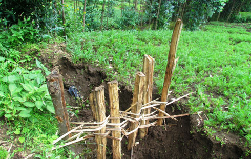 Check dams 65 zarubatse mu rwego rwo gukumira isuri mu mirima y'abaturage.