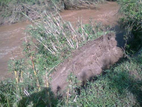 Uko umugezi wa Sebeya ugenda waguka kubera isuri.