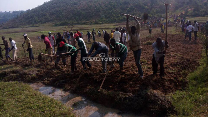 Mu Murenge wa Mukura, Akagari ka Rango A, Umudugudu wa Mpaza, hakozwe umuganda wo gutunganya ahazahingwa imboga mu gishanga cya Mpaza kiri hagati y'imirenge ya Tumba na Mukura, kugirango zizafashe abaturage mu guhangana n'ibura ry'imboga mu gihe cy'izuba.