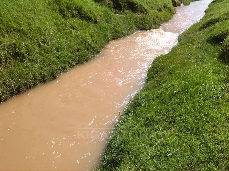 Umugezi wa Mukinga wateweho ibiti