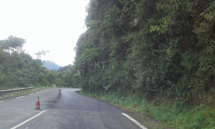 Umuhanda wa kaburimbo unyura muri Nyungwe ni mushya kandi abantu bose ngo bazakomeza kuwukoresha.