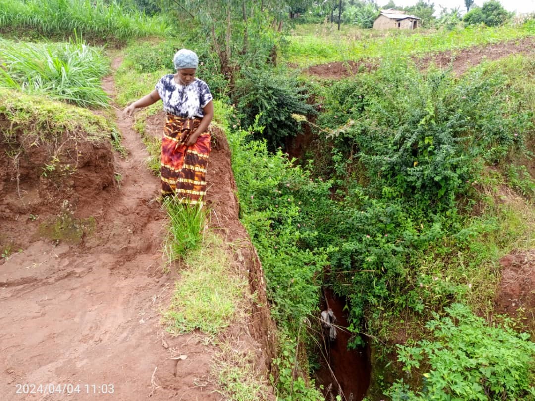 Umukoki wikoze ahayobowe amazi watumye hari abimuka, n'ababyeyi bamwe bajya gucumbikisha abana