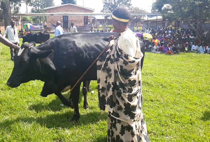 Umukecuru Kampala Marthe wahishe abana 6 muri Jenoside bakarokoka, yashimiwe agabirwa inka.