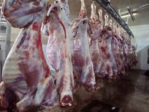 Nyuma y'amasengesho hakurikiyeho gutamba ibitambo, hagakurikiraho no gusangira