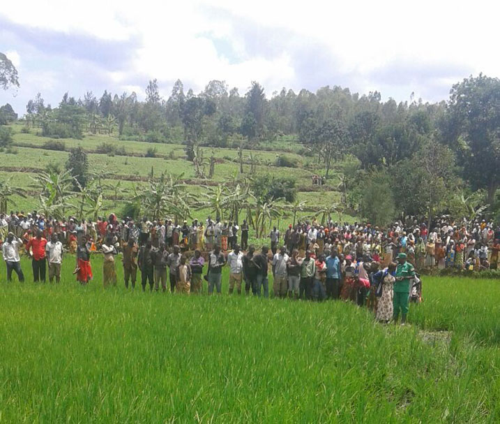 Basanze umurambo wa Mukabugingo mu gishanga nyuma y