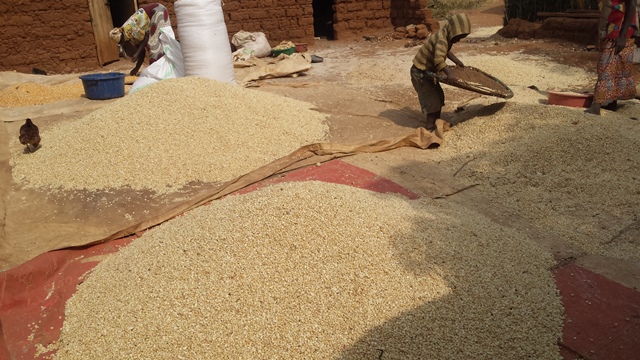 Nyagatare ni agace kera cyane ibigori