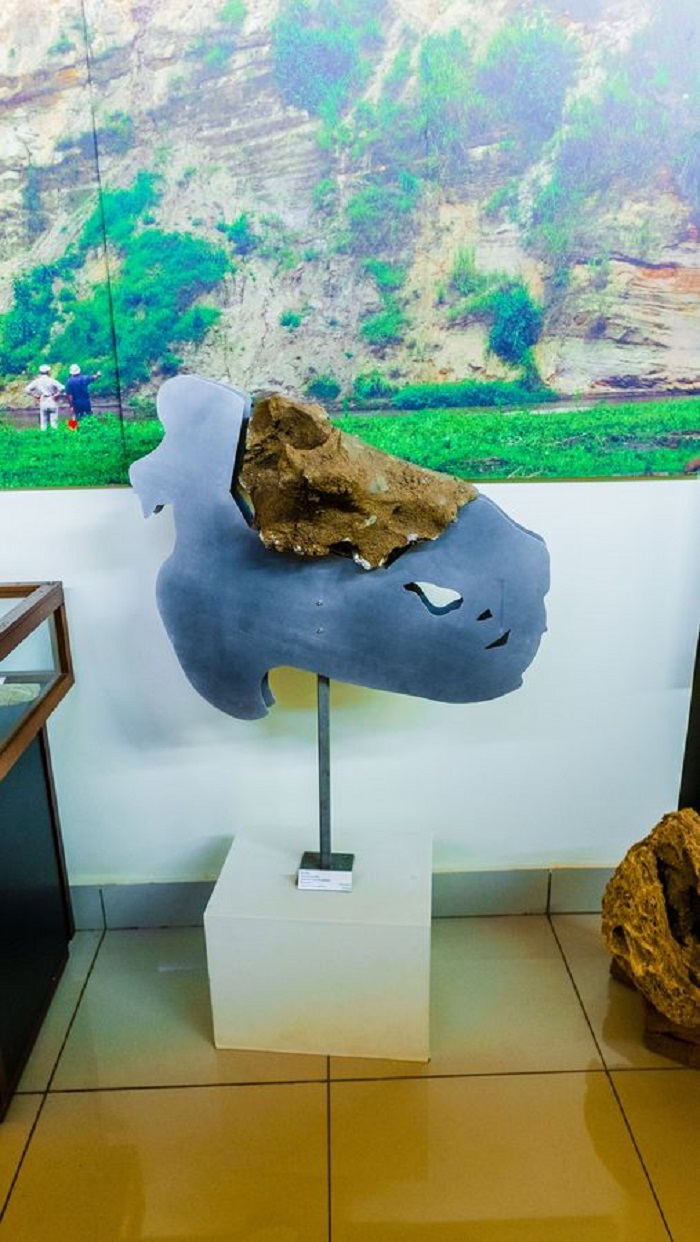 Umusaya w'imvubu ni kimwe mu byo ushobora gusanga mu ngoro ndangamurage y'ibidukikije