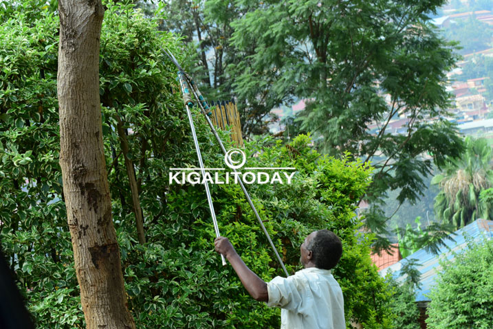 Umusaza Mbonigaba Pierre utunzwe no guconga ibyatsi ku bipangu by'abishoboye.