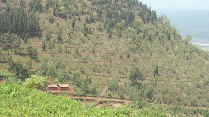 Mu tuyira two kuri uyu musozi wa Makwaza uhanamye ni ho Ujyiwabo Ancille yaguye.